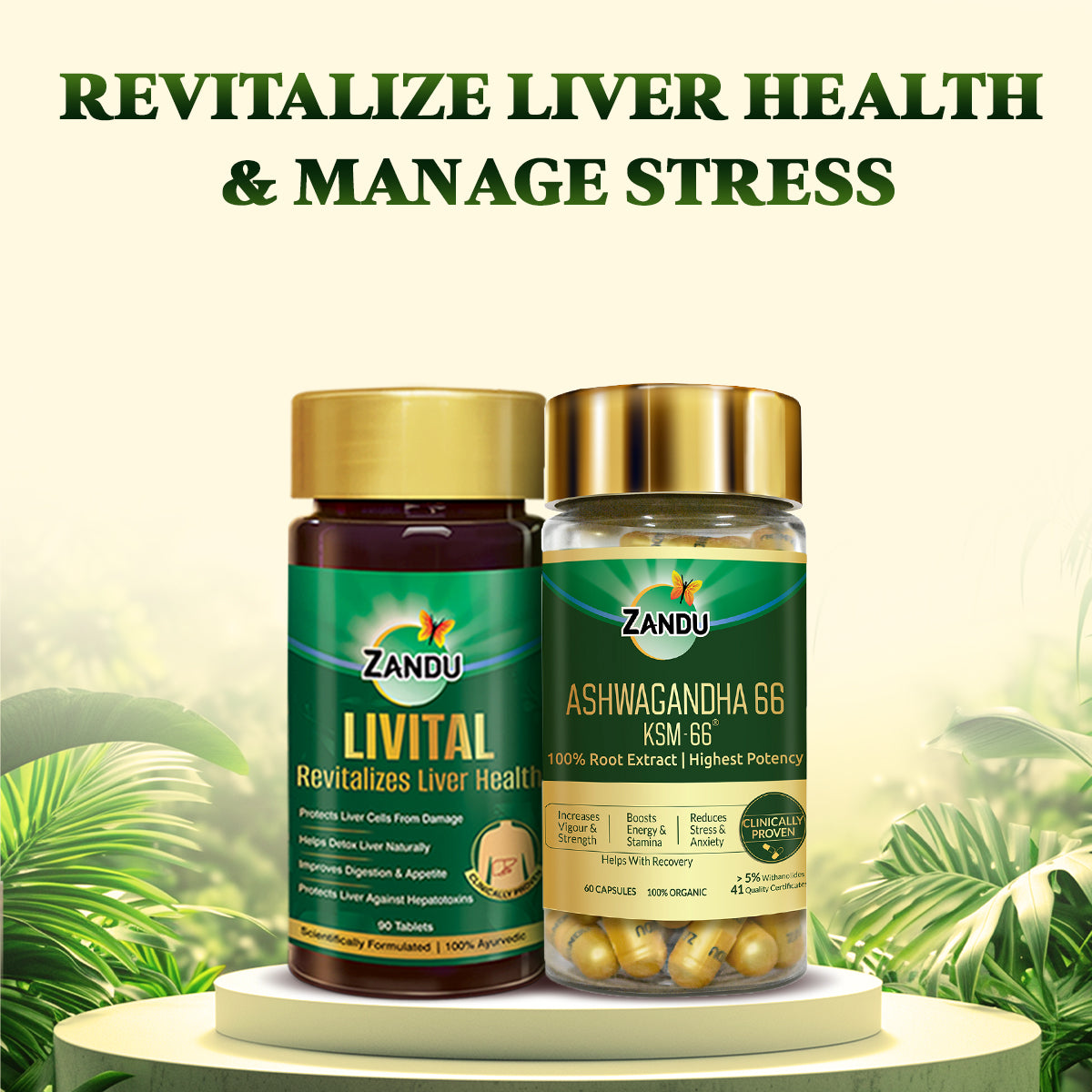 Zandu-Combo Zandu Livital (60 Tabs) + Ashwagandha KSM-66 (60 Caps)