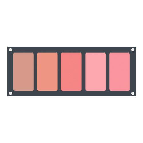 Ferrarucci - 5 Color blush palette (02)
