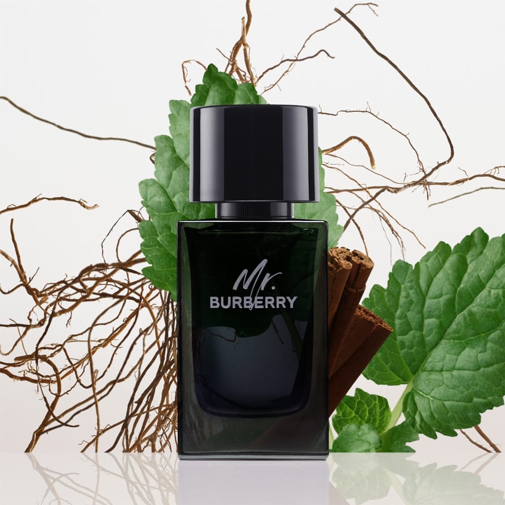 Burberry - Mr. Burberry Eau De Parfum (100ML)
