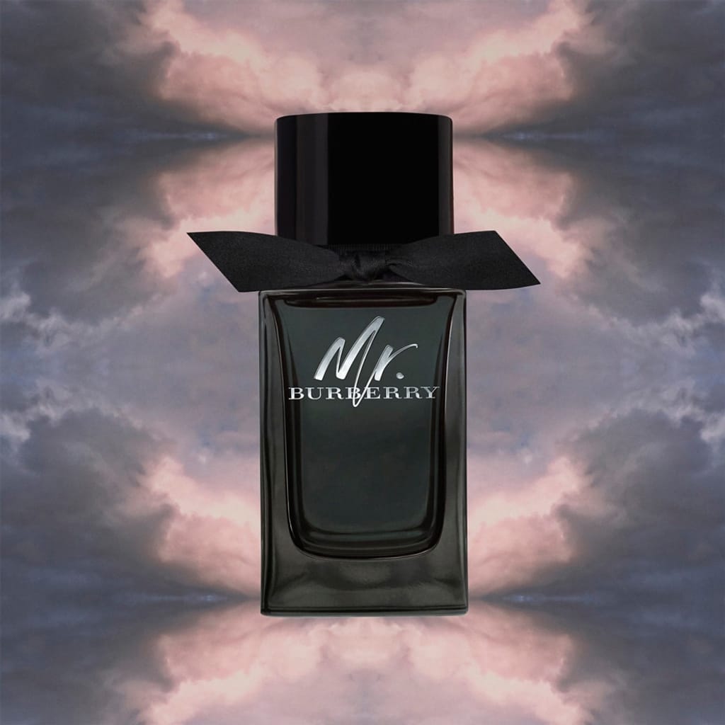 Burberry - Mr. Burberry Eau De Parfum (100ML)