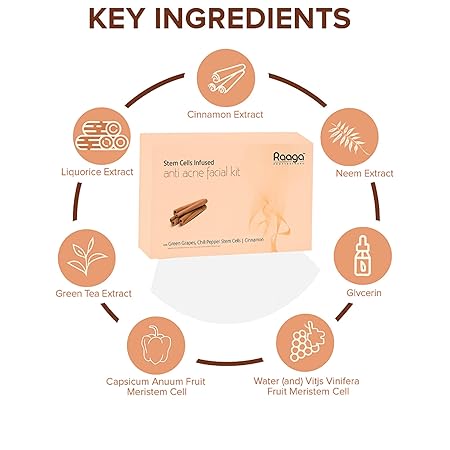 Raaga Professional Stem cell Anti Acne Facial Kit 63g