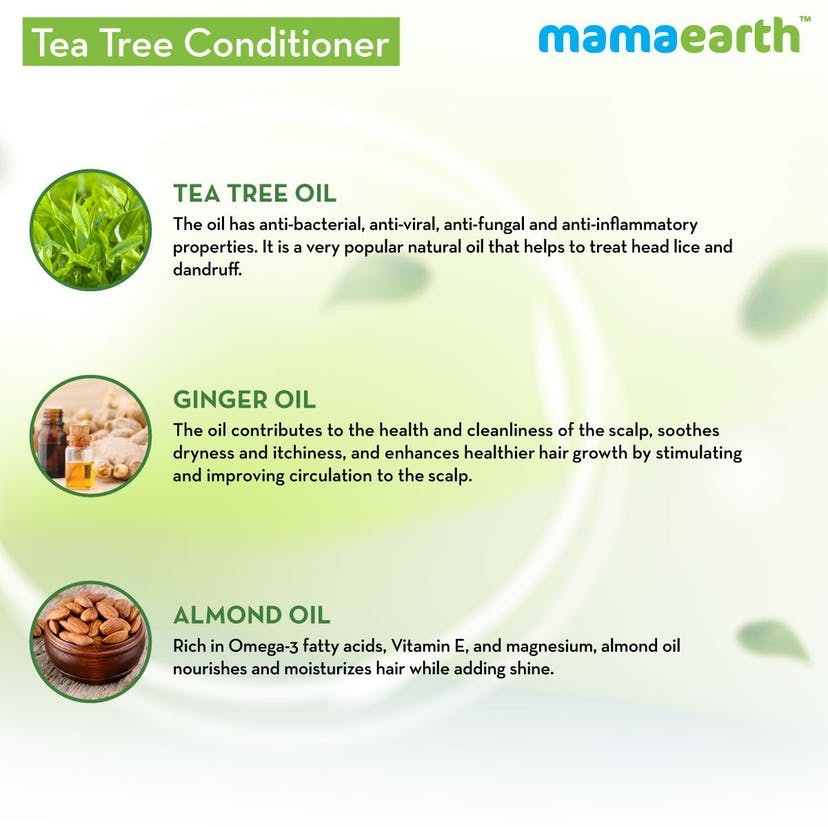 Mamaearth Tea Tree Conditioner with Tea Tree & Ginger Oil for Dandruff Free Hair (250mL)