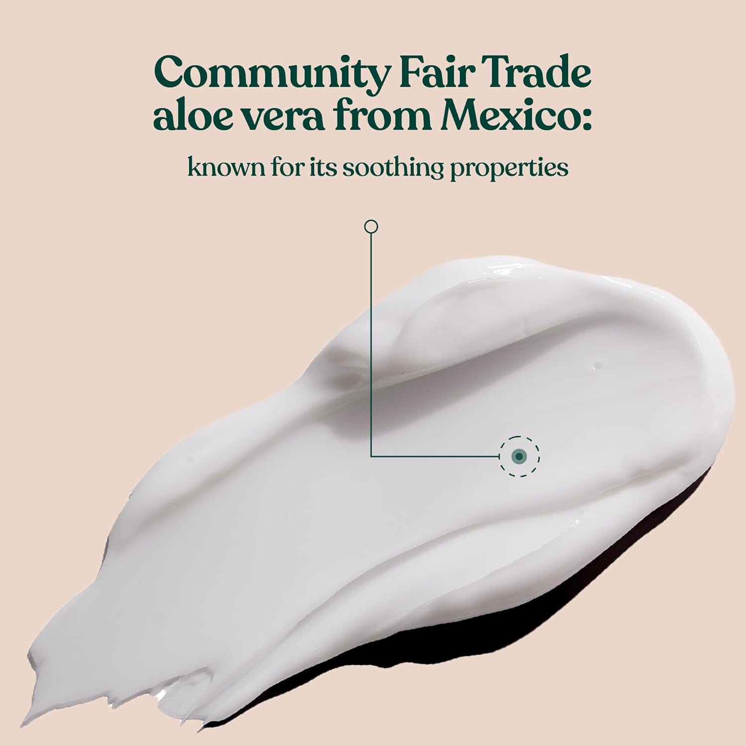 The Body Shop Aloe Vera Day Cream, For Sensitive Skin, Vegan, 50ml - BEAUTY BRATS