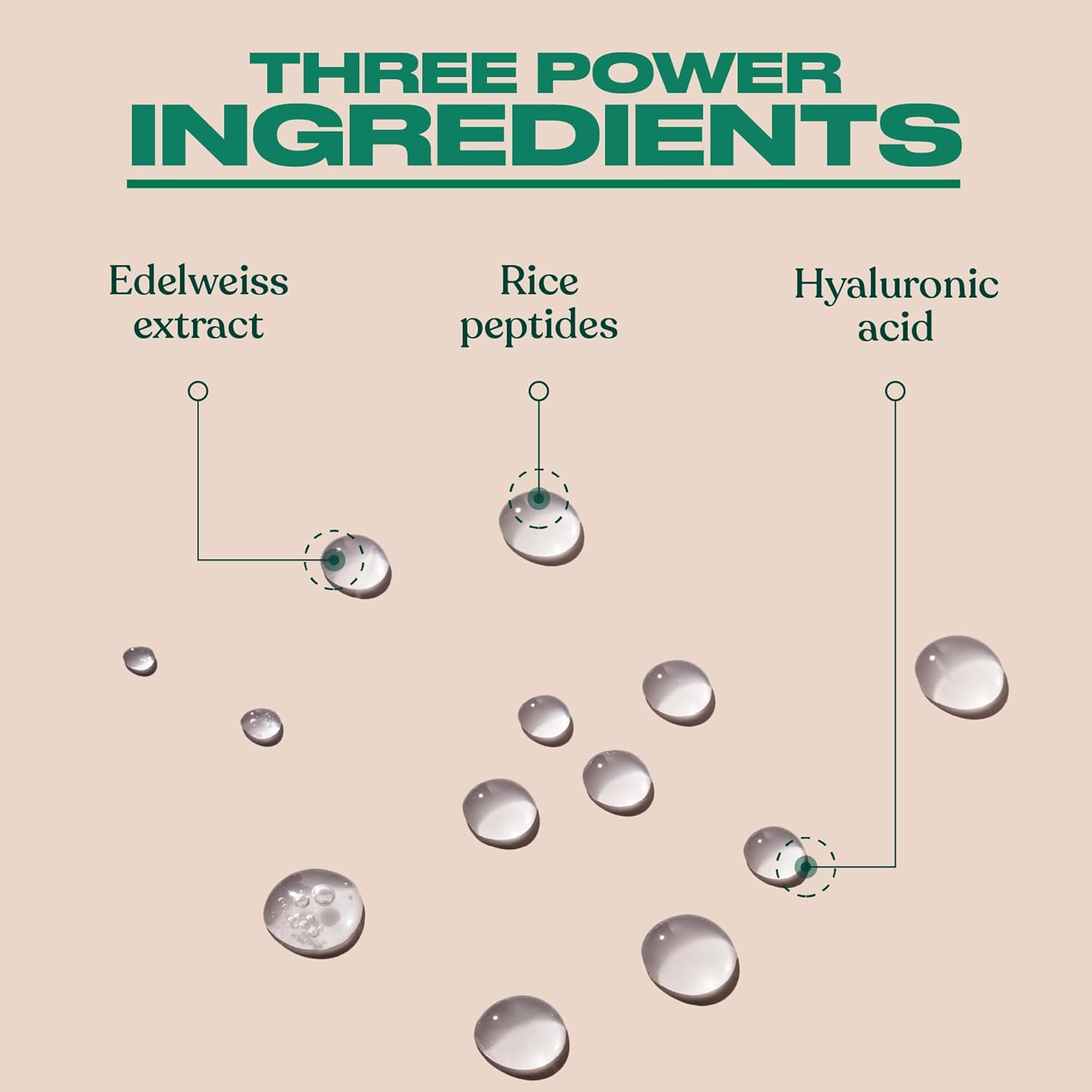 The Body Shop Edelweiss Eye Concentrate – Smooths Under Eye Area – Vegan – 10ml - BEAUTY BRATS