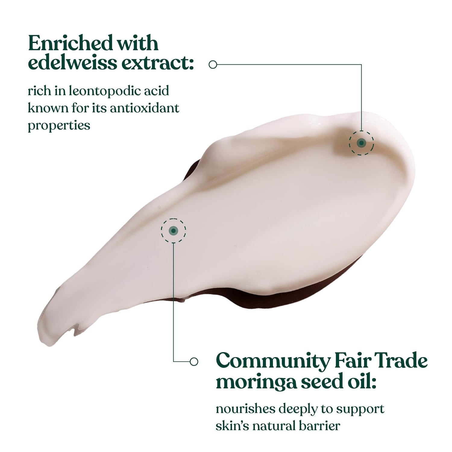The Body Shop Edelweiss Smoothing Day Cream – For Smoother Looking Skin – Vegan – 50ml - BEAUTY BRATS