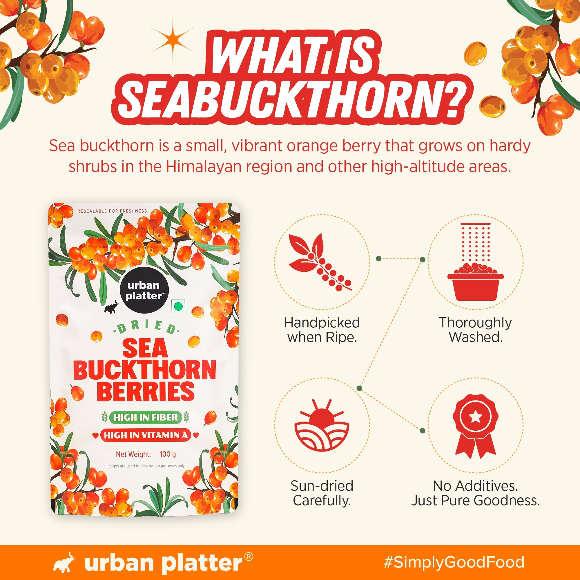 Urban Platter Dried Sea Buckthorn Berries 100g image 5