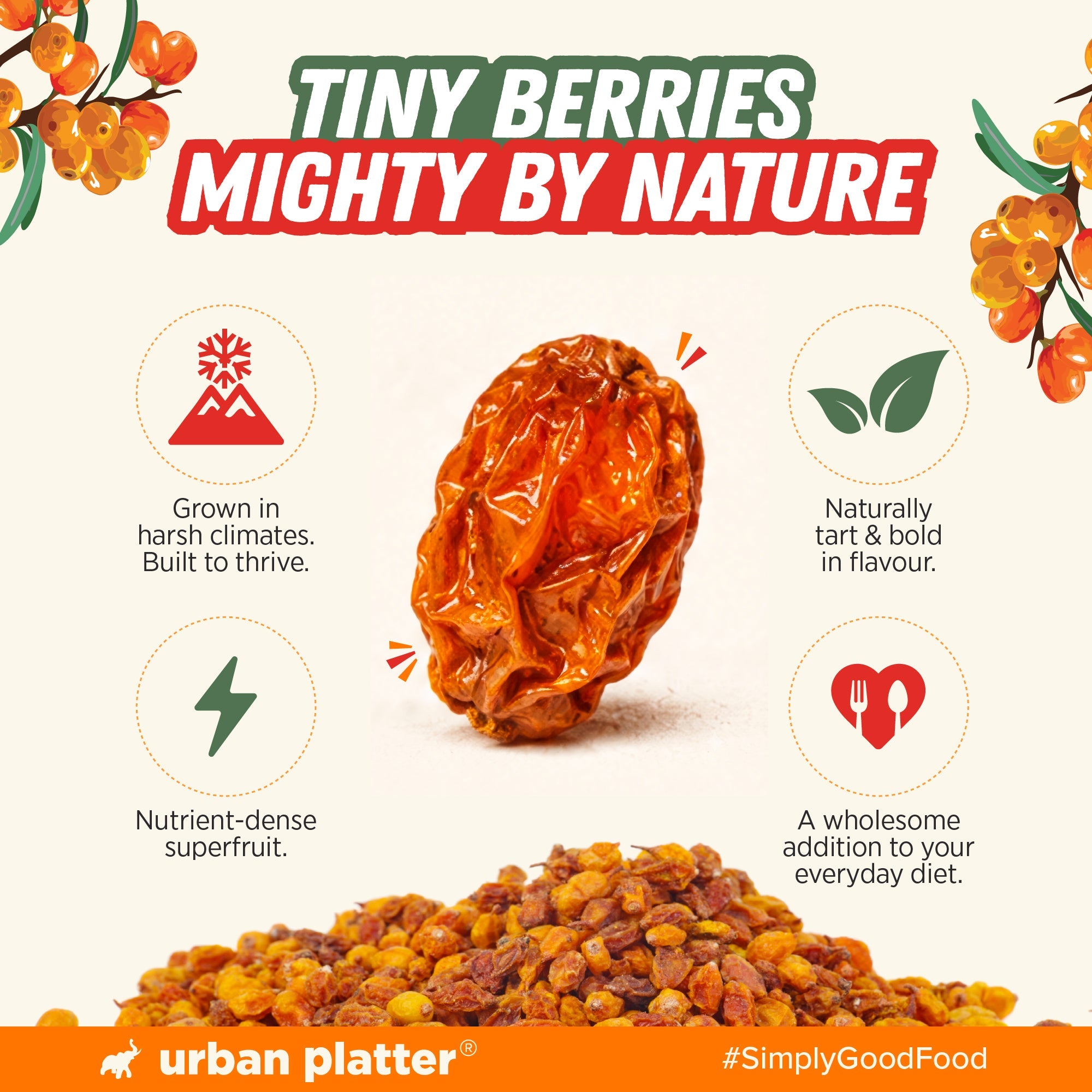 Urban Platter Dried Sea Buckthorn Berries 100g image 6