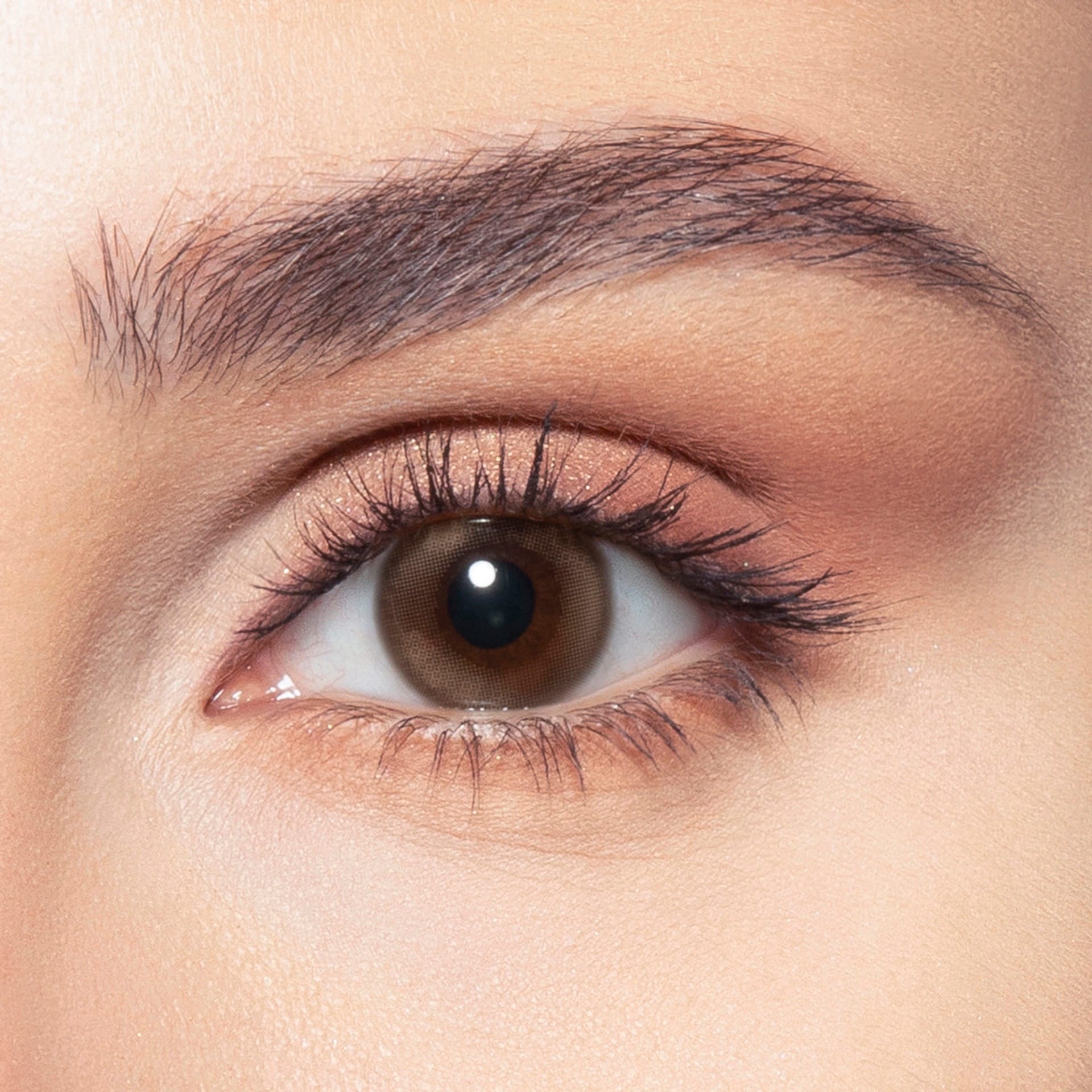 Bella - One Day Collection Color Contact Lens (10 Lens/Box)