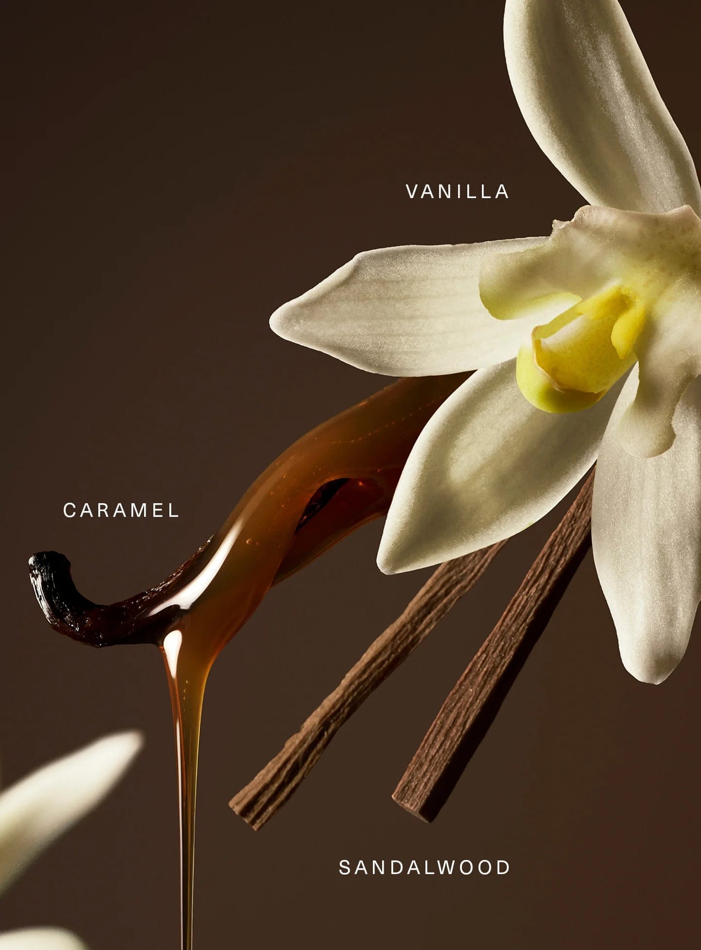 Rare Beauty - Eau De Parfum